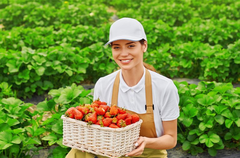 Agriculture